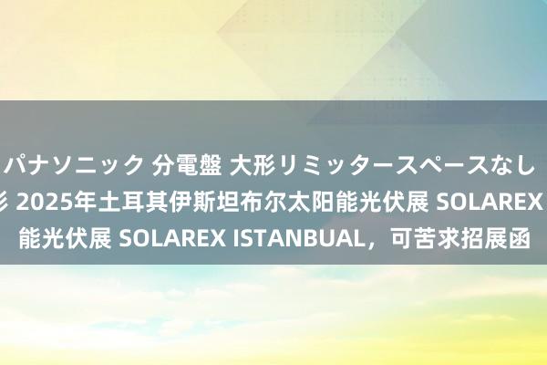 パナソニック 分電盤 大形リミッタースペースなし 露出・半埋込両用形 2025年土耳其伊斯坦布尔太阳能光伏展 SOLAREX ISTANBUAL，可苦求招展函