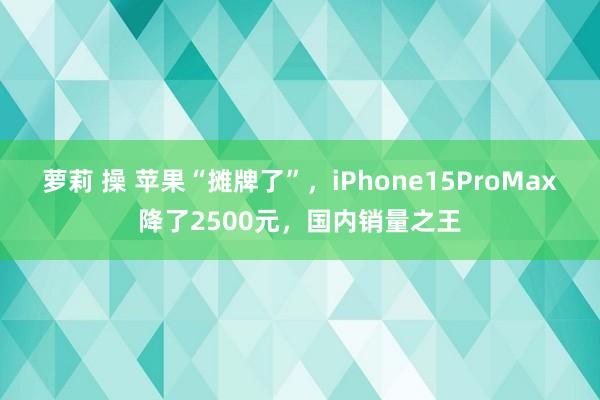 萝莉 操 苹果“摊牌了”，iPhone15ProMax降了2500元，国内销量之王