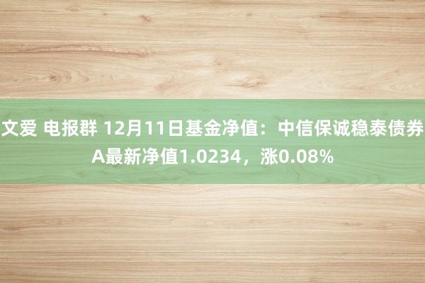 文爱 电报群 12月11日基金净值：中信保诚稳泰债券A最新净值1.0234，涨0.08%