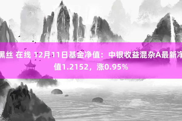 黑丝 在线 12月11日基金净值：中银收益混杂A最新净值1.2152，涨0.95%