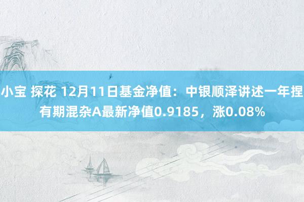 小宝 探花 12月11日基金净值：中银顺泽讲述一年捏有期混杂A最新净值0.9185，涨0.08%