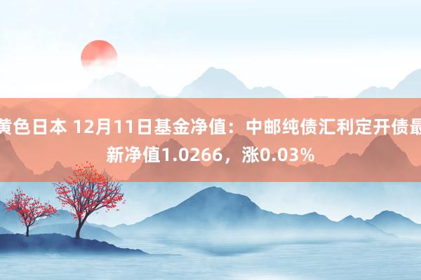 黄色日本 12月11日基金净值：中邮纯债汇利定开债最新净值1.0266，涨0.03%