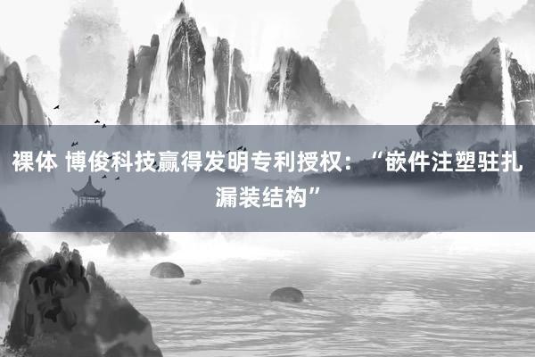 裸体 博俊科技赢得发明专利授权：“嵌件注塑驻扎漏装结构”