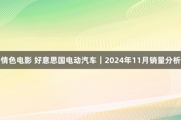 情色电影 好意思国电动汽车｜2024年11月销量分析