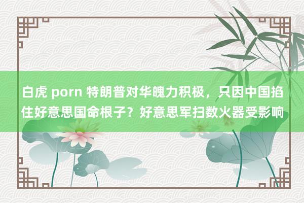 白虎 porn 特朗普对华魄力积极，只因中国掐住好意思国命根子？好意思军扫数火器受影响