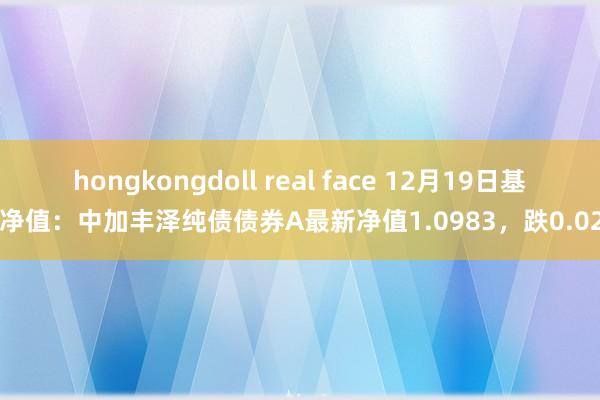 hongkongdoll real face 12月19日基金净值：中加丰泽纯债债券A最新净值1.0983，跌0.02%