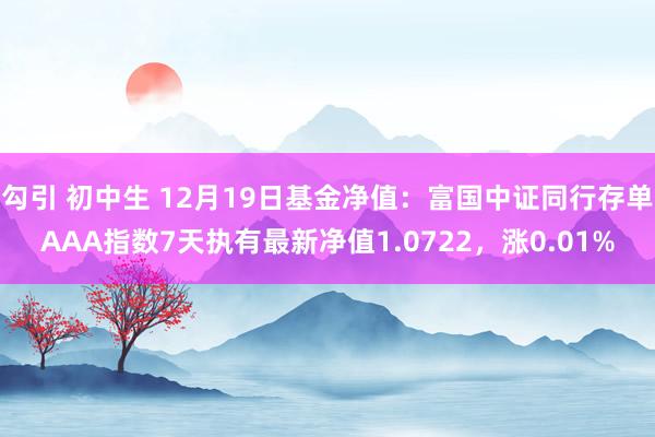 勾引 初中生 12月19日基金净值：富国中证同行存单AAA指数7天执有最新净值1.0722，涨0.01%