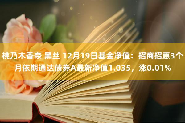 桃乃木香奈 黑丝 12月19日基金净值：招商招惠3个月依期通达债券A最新净值1.035，涨0.01%