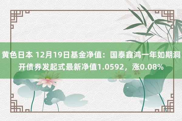 黄色日本 12月19日基金净值：国泰鑫鸿一年如期洞开债券发起式最新净值1.0592，涨0.08%