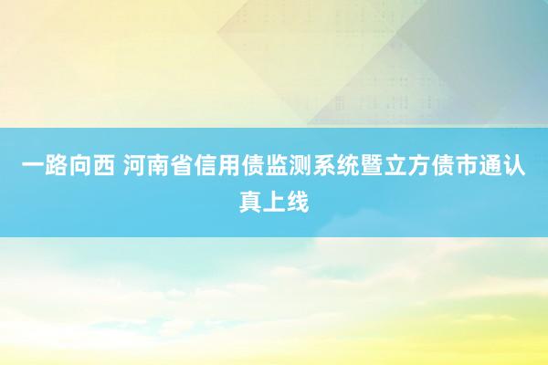 一路向西 河南省信用债监测系统暨立方债市通认真上线