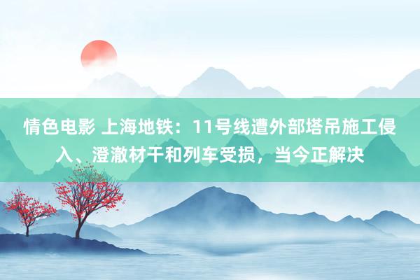 情色电影 上海地铁：11号线遭外部塔吊施工侵入、澄澈材干和列车受损，当今正解决