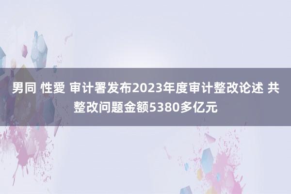 男同 性愛 审计署发布2023年度审计整改论述 共整改问题金额5380多亿元