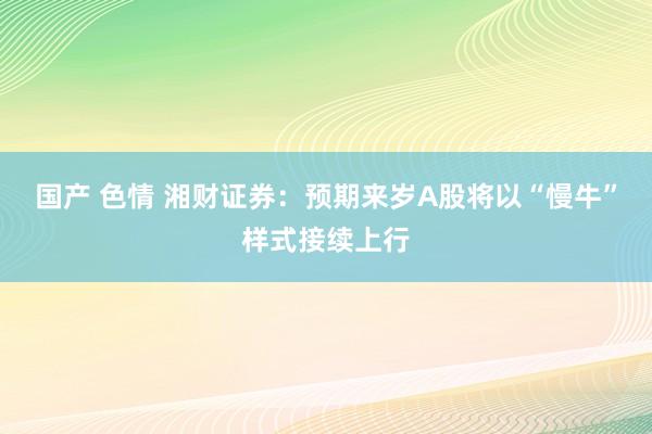 国产 色情 湘财证券：预期来岁A股将以“慢牛”样式接续上行