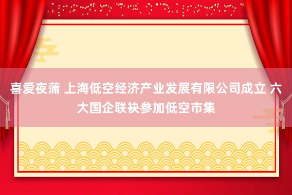 喜爱夜蒲 上海低空经济产业发展有限公司成立 六大国企联袂参加低空市集