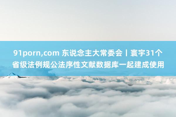 91porn，com 东说念主大常委会丨寰宇31个省级法例规公法序性文献数据库一起建成使用