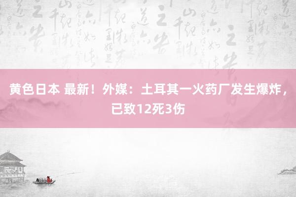 黄色日本 最新！外媒：土耳其一火药厂发生爆炸，已致12死3伤