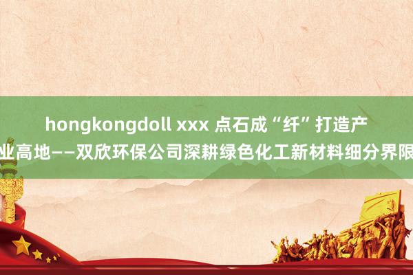 hongkongdoll xxx 点石成“纤”打造产业高地——双欣环保公司深耕绿色化工新材料细分界限