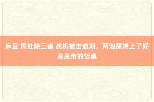 麻豆 周处除三害 战机被击逾期，两泡屎端上了好意思帝的饭桌