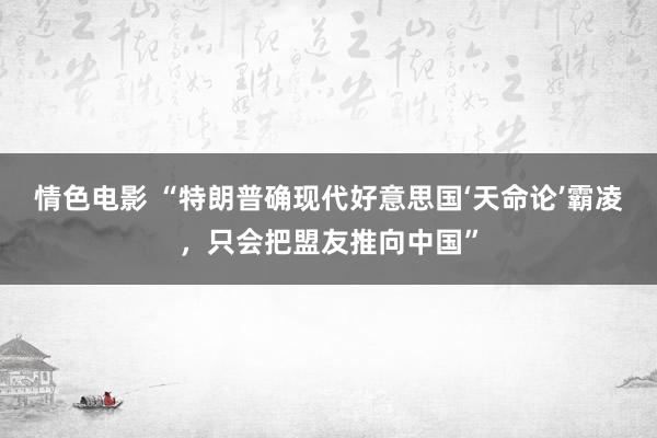 情色电影 “特朗普确现代好意思国‘天命论’霸凌，只会把盟友推向中国”