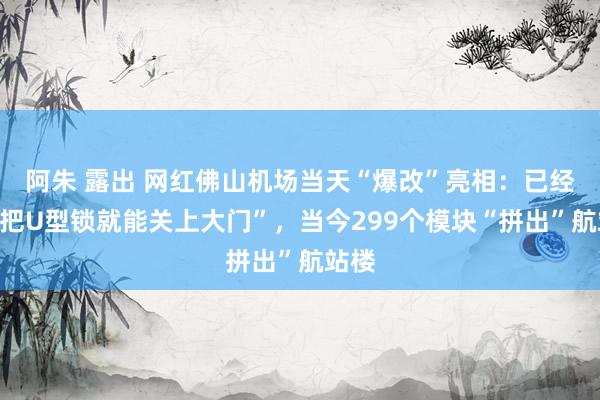 阿朱 露出 网红佛山机场当天“爆改”亮相：已经“一把U型锁就能关上大门”，当今299个模块“拼出”航站楼