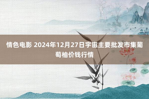 情色电影 2024年12月27日宇宙主要批发市集葡萄柚价钱行情