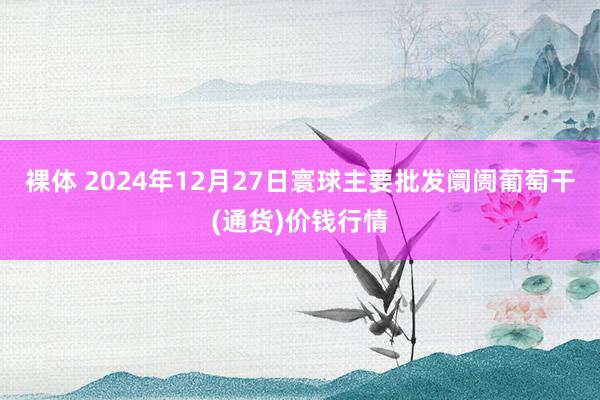 裸体 2024年12月27日寰球主要批发阛阓葡萄干(通货)价钱行情