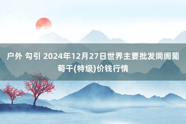 户外 勾引 2024年12月27日世界主要批发阛阓葡萄干(特级)价钱行情