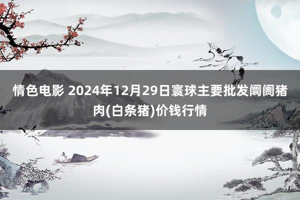 情色电影 2024年12月29日寰球主要批发阛阓猪肉(白条猪)价钱行情