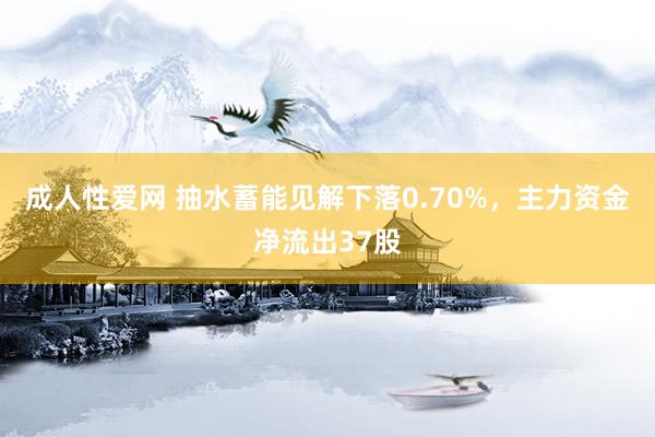 成人性爱网 抽水蓄能见解下落0.70%，主力资金净流出37股