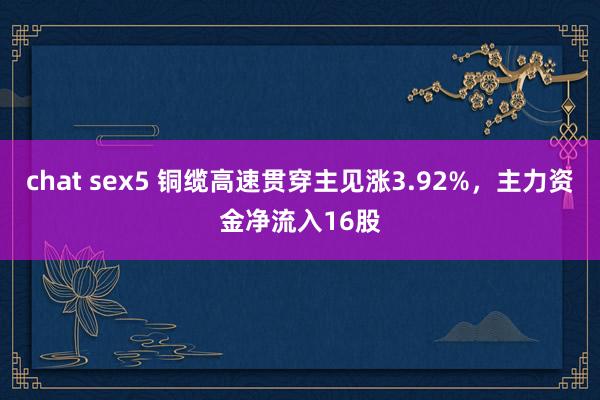 chat sex5 铜缆高速贯穿主见涨3.92%，主力资金净流入16股