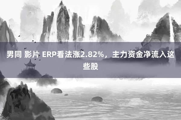 男同 影片 ERP看法涨2.82%，主力资金净流入这些股