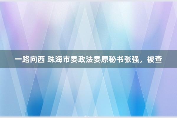 一路向西 珠海市委政法委原秘书张强，被查