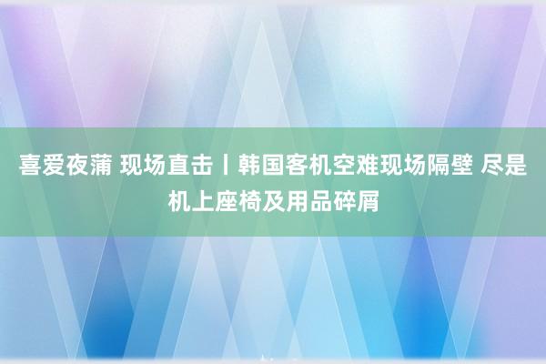 喜爱夜蒲 现场直击丨韩国客机空难现场隔壁 尽是机上座椅及用品碎屑