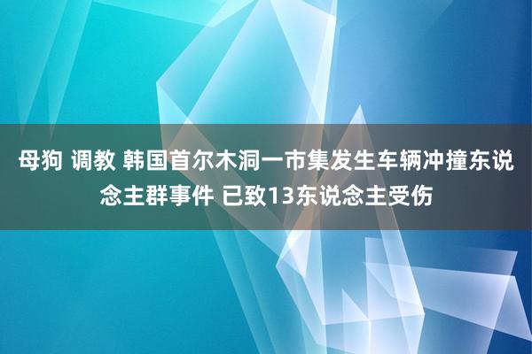 母狗 调教 韩国首尔木洞一市集发生车辆冲撞东说念主群事件 已致13东说念主受伤