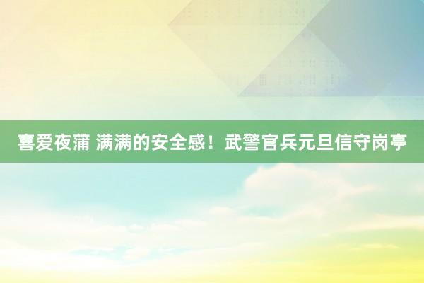 喜爱夜蒲 满满的安全感！武警官兵元旦信守岗亭