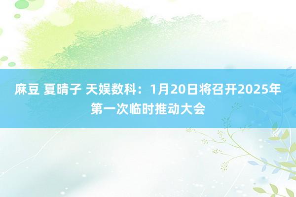 麻豆 夏晴子 天娱数科：1月20日将召开2025年第一次临时推动大会