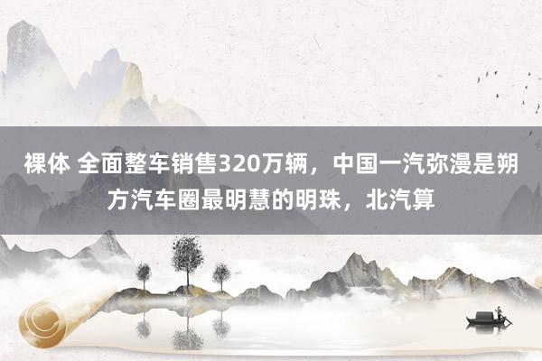 裸体 全面整车销售320万辆，中国一汽弥漫是朔方汽车圈最明慧的明珠，北汽算