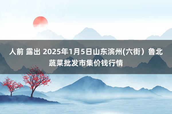 人前 露出 2025年1月5日山东滨州(六街）鲁北蔬菜批发市集价钱行情