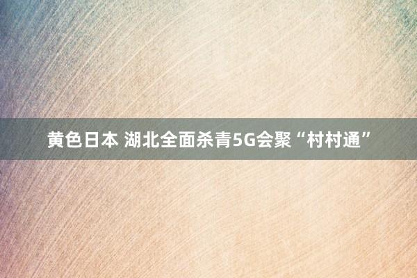 黄色日本 湖北全面杀青5G会聚“村村通”