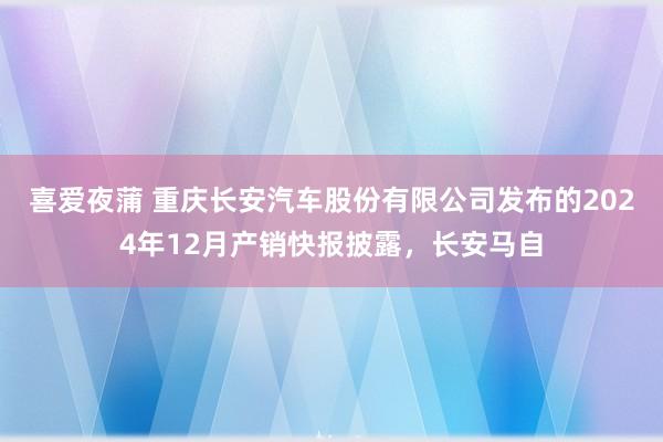 喜爱夜蒲 重庆长安汽车股份有限公司发布的2024年12月产销快报披露，长安马自