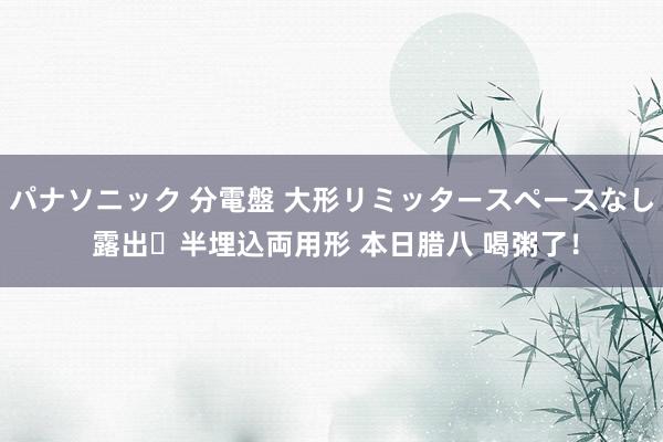 パナソニック 分電盤 大形リミッタースペースなし 露出・半埋込両用形 本日腊八 喝粥了！