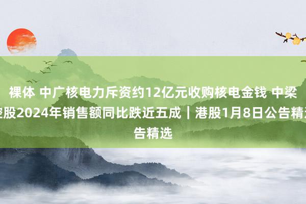 裸体 中广核电力斥资约12亿元收购核电金钱 中梁控股2024年销售额同比跌近五成｜港股1月8日公告精选