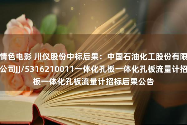 情色电影 川仪股份中标后果：中国石油化工股份有限公司都鲁分公司JJ/5316210011一体化孔板一体化孔板流量计招标后果公告