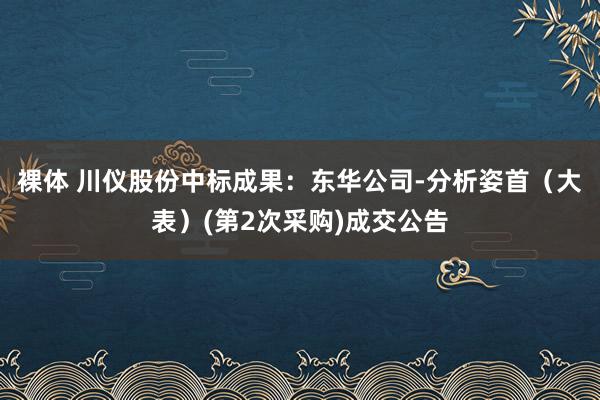 裸体 川仪股份中标成果：东华公司-分析姿首（大表）(第2次采购)成交公告