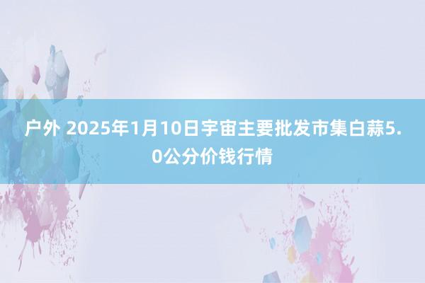 户外 2025年1月10日宇宙主要批发市集白蒜5.0公分价钱行情