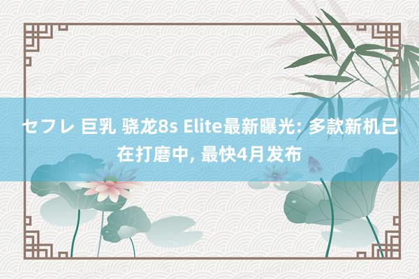 セフレ 巨乳 骁龙8s Elite最新曝光: 多款新机已在打磨中， 最快4月发布