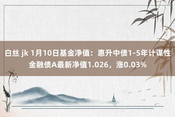 白丝 jk 1月10日基金净值：惠升中债1-5年计谋性金融债A最新净值1.026，涨0.03%