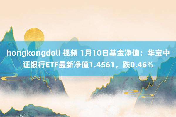 hongkongdoll 视频 1月10日基金净值：华宝中证银行ETF最新净值1.4561，跌0.46%