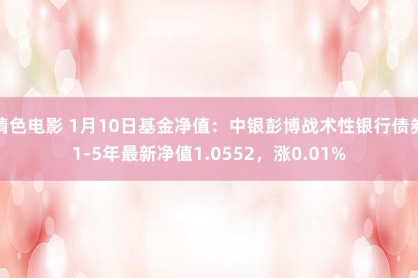 情色电影 1月10日基金净值：中银彭博战术性银行债券1-5年最新净值1.0552，涨0.01%