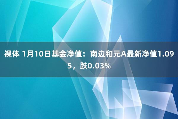 裸体 1月10日基金净值：南边和元A最新净值1.095，跌0.03%